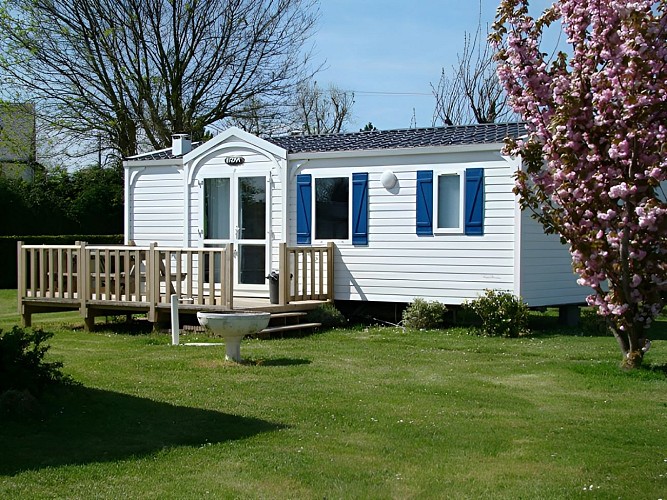 Camping-Ariane--Merville-Franceville-Plage - mobil home Classique