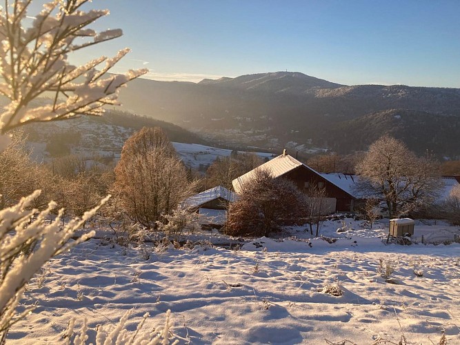 Flat gite du Draimont