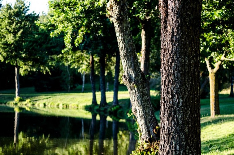 lac fronton site intramuros