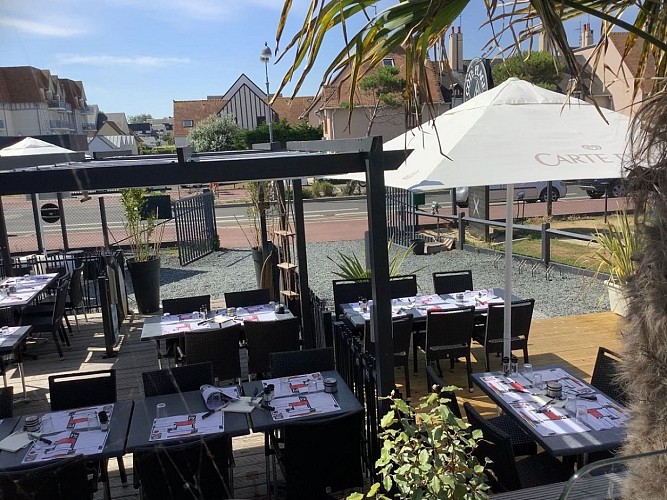 vue-terrasse-cote-plage-courseulles-palmier-2