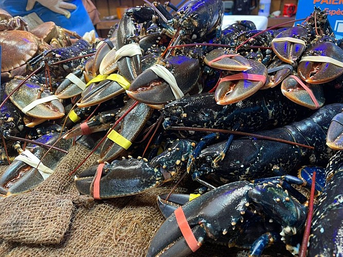 port-peche-dives-cabourg-houlgate-6 (1)