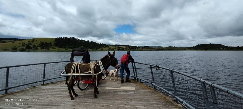 Aux Bergers d'Espradel - Walking with donkeys