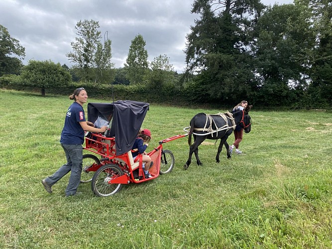 Aux Bergers d'Espradel - Walking with donkeys