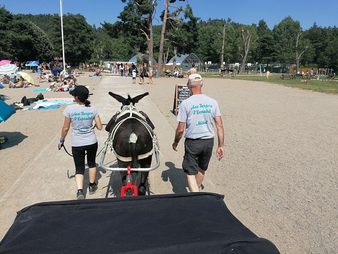 Aux Bergers d'Espradel - Walking with donkeys