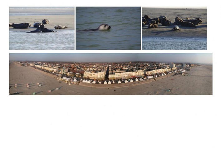 Fait Daniel - logement 1