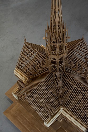 Les Compagnons du Tour de France