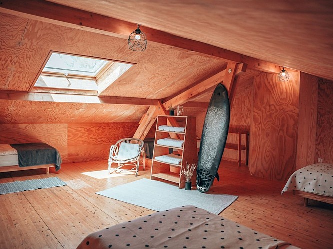 Ocean Shelter 2 - 2024