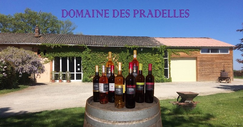 Domaine des Pradelles - Vacquiers