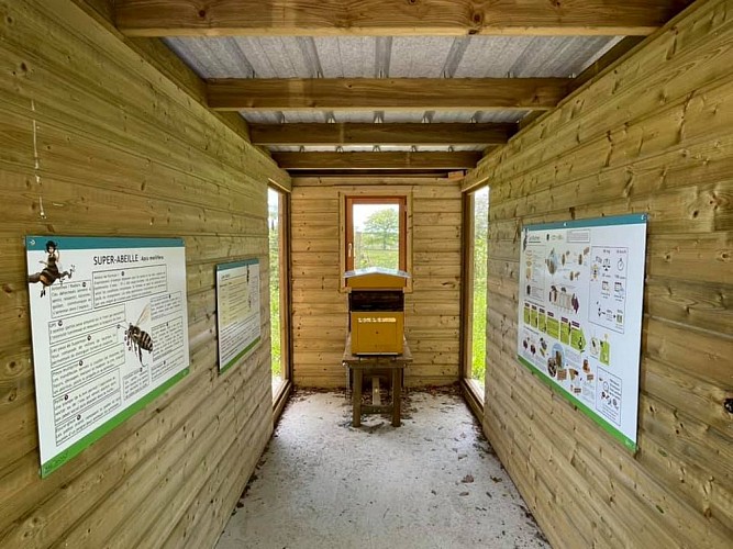 Rucher pédagogique de Miécaze