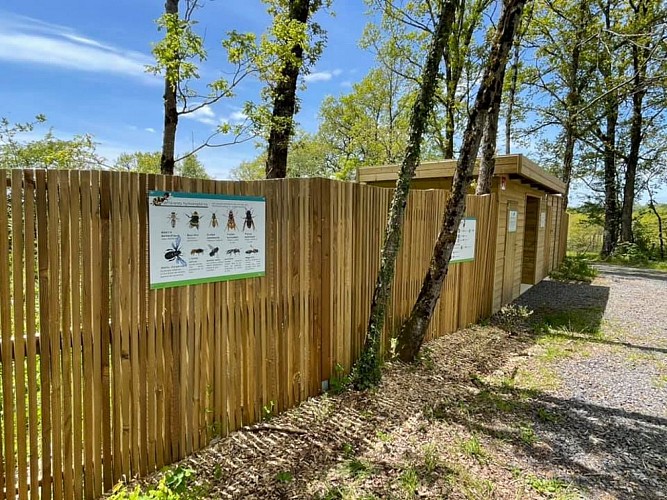 Rucher pédagogique de Miécaze