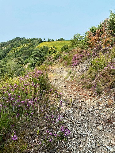 Village of Sénezergues