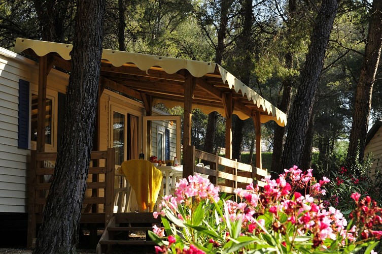 Trade fair offer - Stay at AEC Les Dauphins