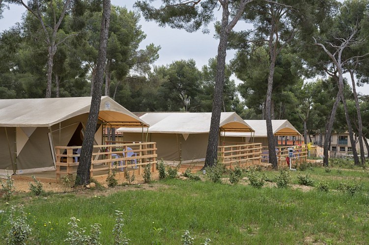 Trade fair offer - Stay at AEC Les Dauphins