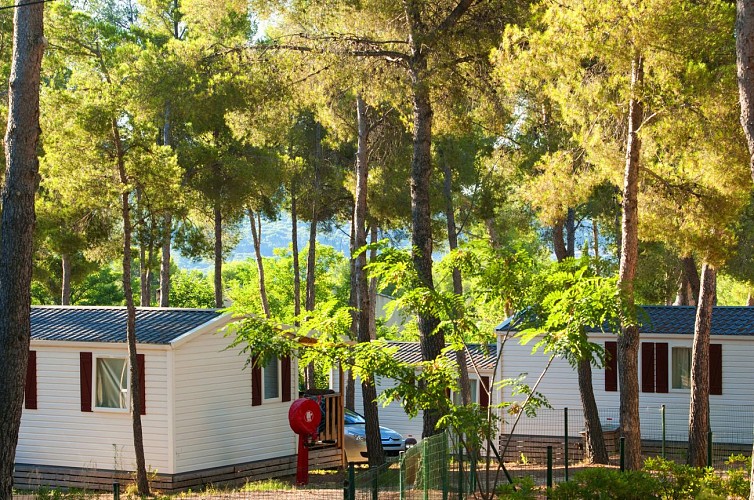 Trade fair offer - Stay at AEC Les Dauphins