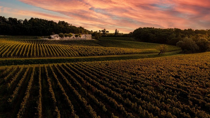 Chateau_Beaulieu_Samonac-cotes de bourg 1©Florent Foqueux