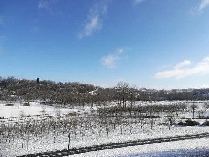 Gitelabellecampagne (9)