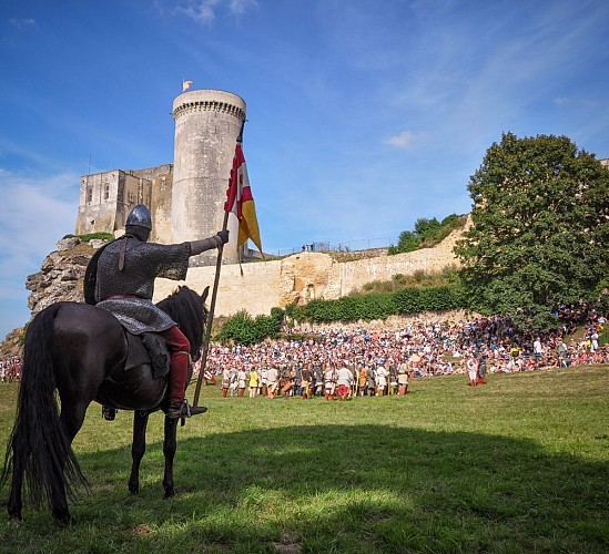 Château Guillaume le Conquérant FALAISE