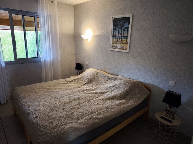 Les Albizias n°15 (1)