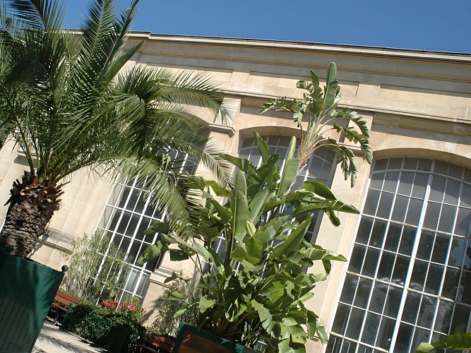 Serre du jardin des plantes Caen
