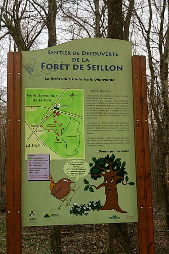 Parcours permanent de Course d'Orientation de Seillon