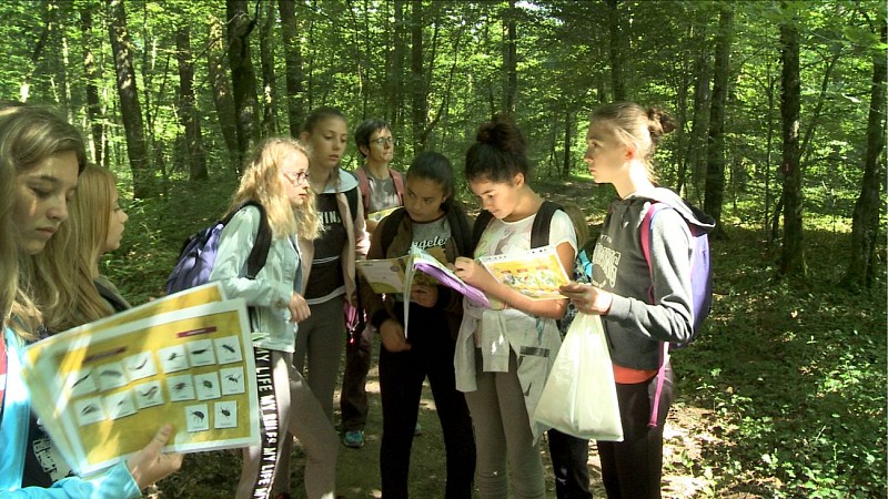 Espace pédagogique forestier de Seillon