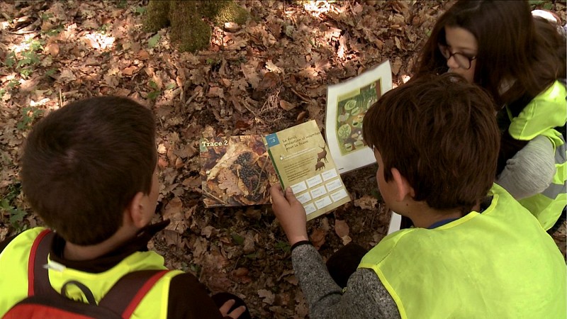 Espace pédagogique forestier de Seillon