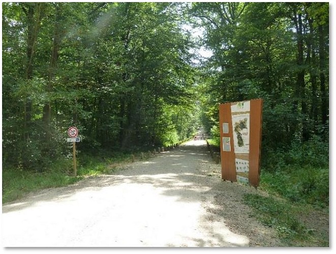 Espace pédagogique forestier de Seillon