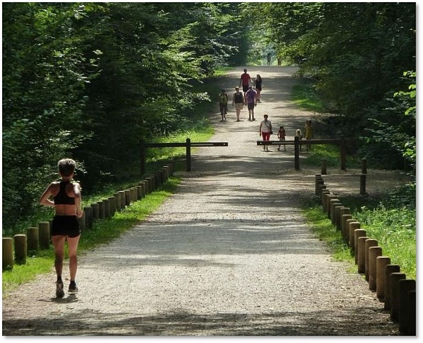 Espace pédagogique forestier de Seillon