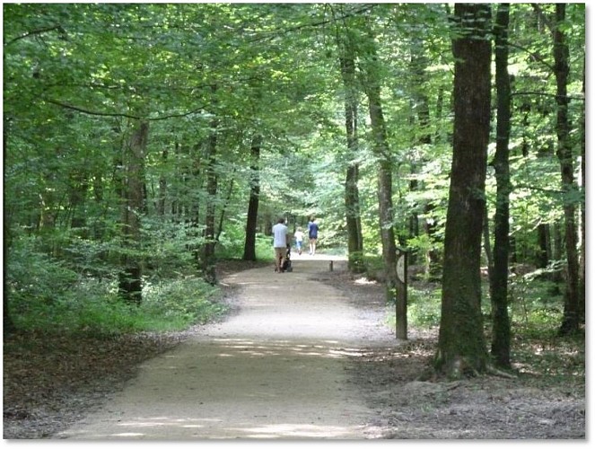 Espace pédagogique forestier de Seillon