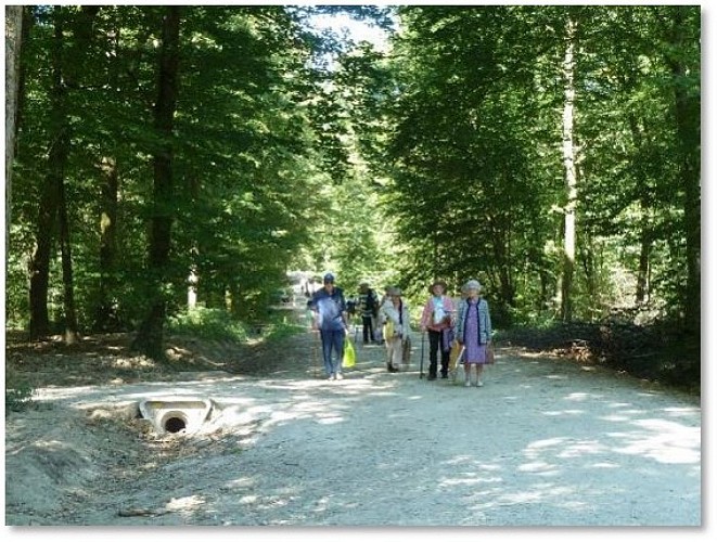 Espace pédagogique forestier de Seillon