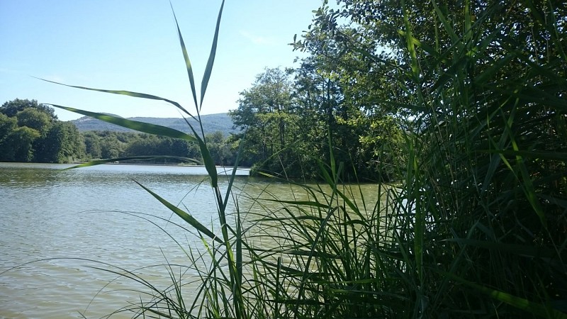 Fishing area at the pond of the Grange du Pin