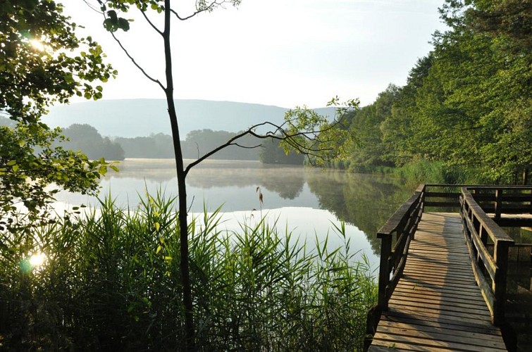 Fishing area at the pond of the Grange du Pin