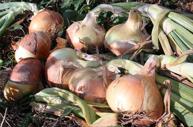 GAEC Le Champ Aux Oiseaux