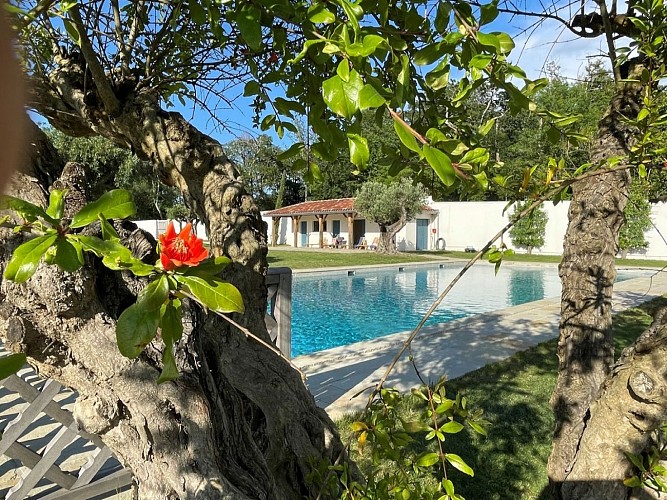 Château de Larraldia-piscine