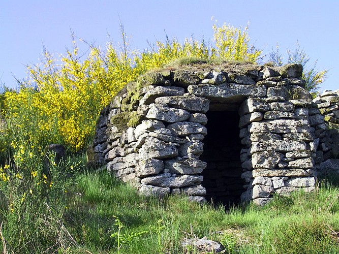 Loge de berger au Puy des Roches