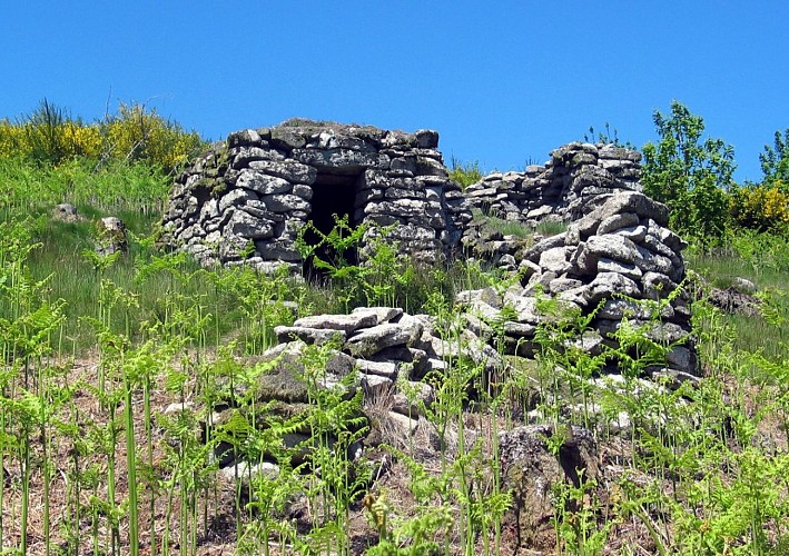 Loge de berger au Puy des Roches