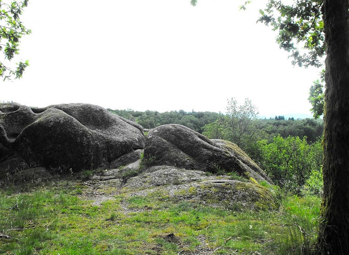 La Roche Guéry - A proximité du Puy des Roches