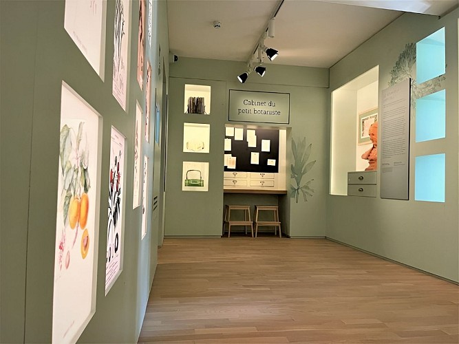 Salle des botanistes_musée de Vire