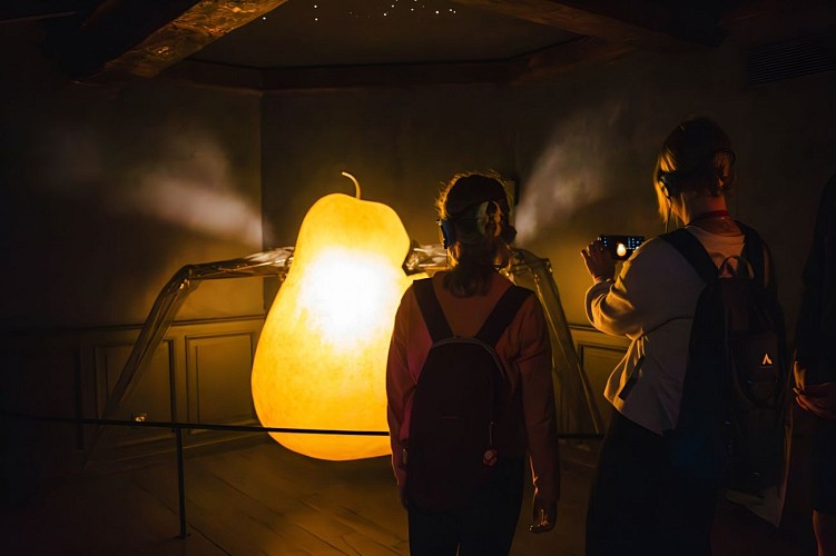 Maisons Satie Honfleur musée Erik Satie ©Camille Plichard_OT Honfleur (2)