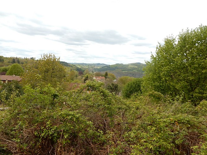 photo_callune_bussy_1