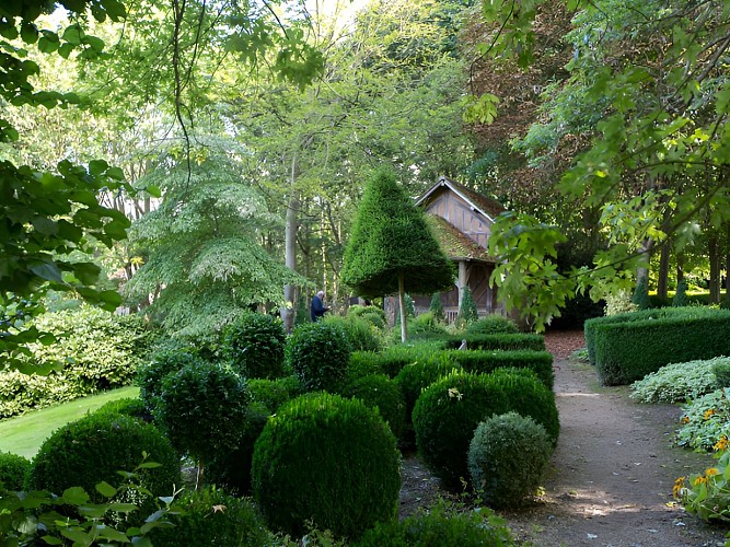 jardin-cambremer-buis
