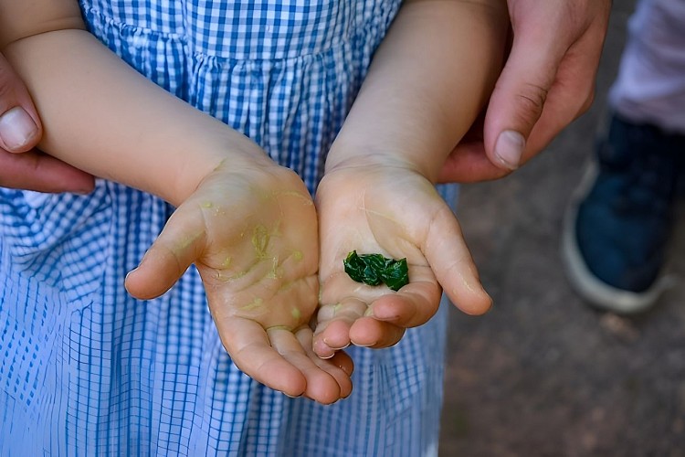 usage des plantes - se laver