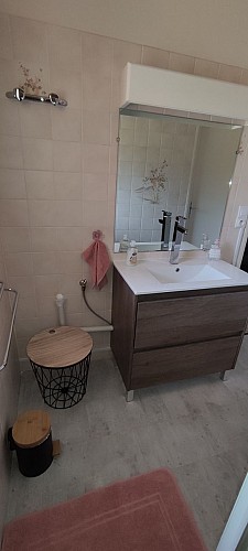 Les Albizias 8 et 9 (4)