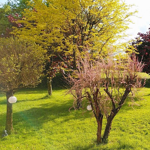 jardin-printemps-gite-lenidauxpapillons-charollais-bourgogne