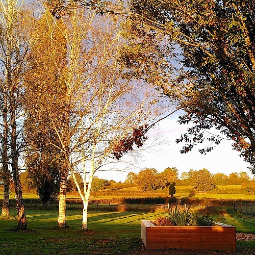 jardin d'assainissement du gîte