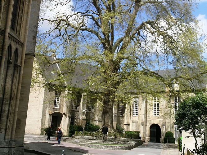 MAHB, entrée - Bayeux