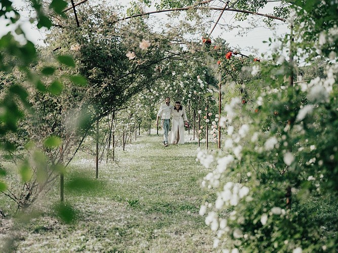 Le jardin de Gassin