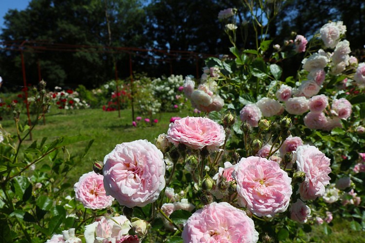 Le jardin de Gassin