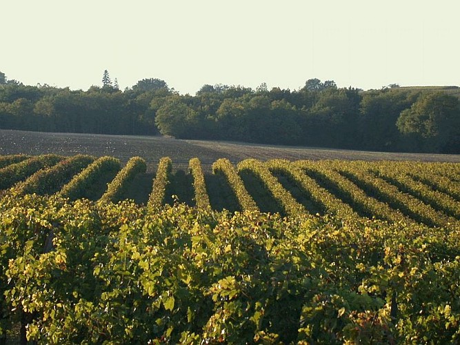 Domaine de Lagajan