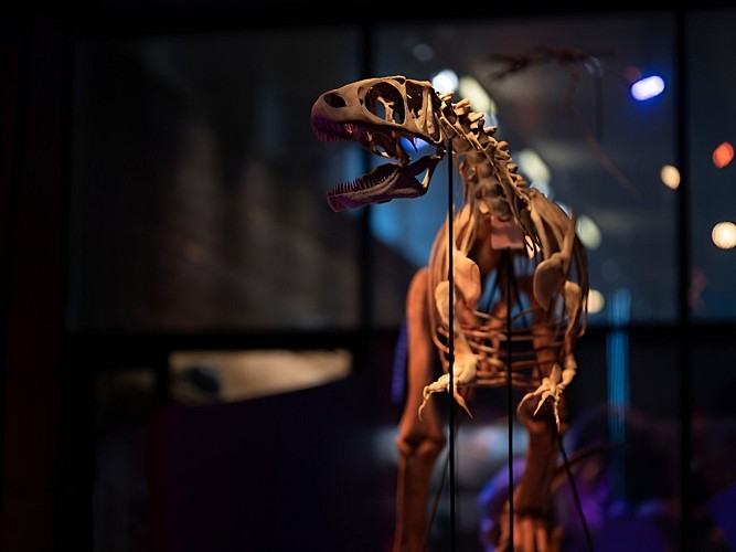 Paléospace - crédit Julien Boisard (7)